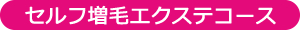 セルフ増毛エクステコース